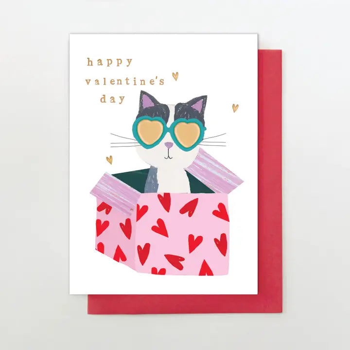 Cat in a box card