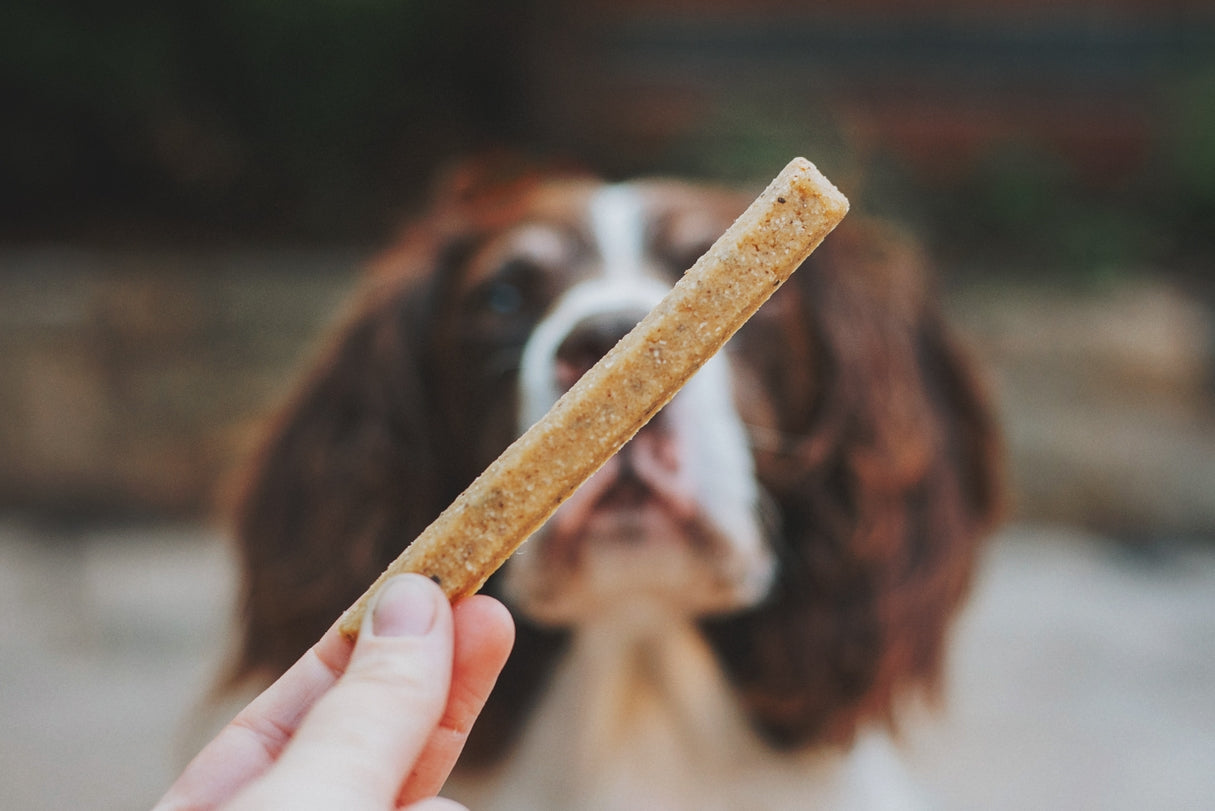 Denzel's Dog Chews – Chicken, Spinach and Chickpeas