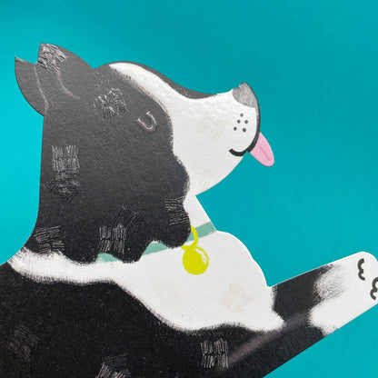 Border Collie Greetings Card