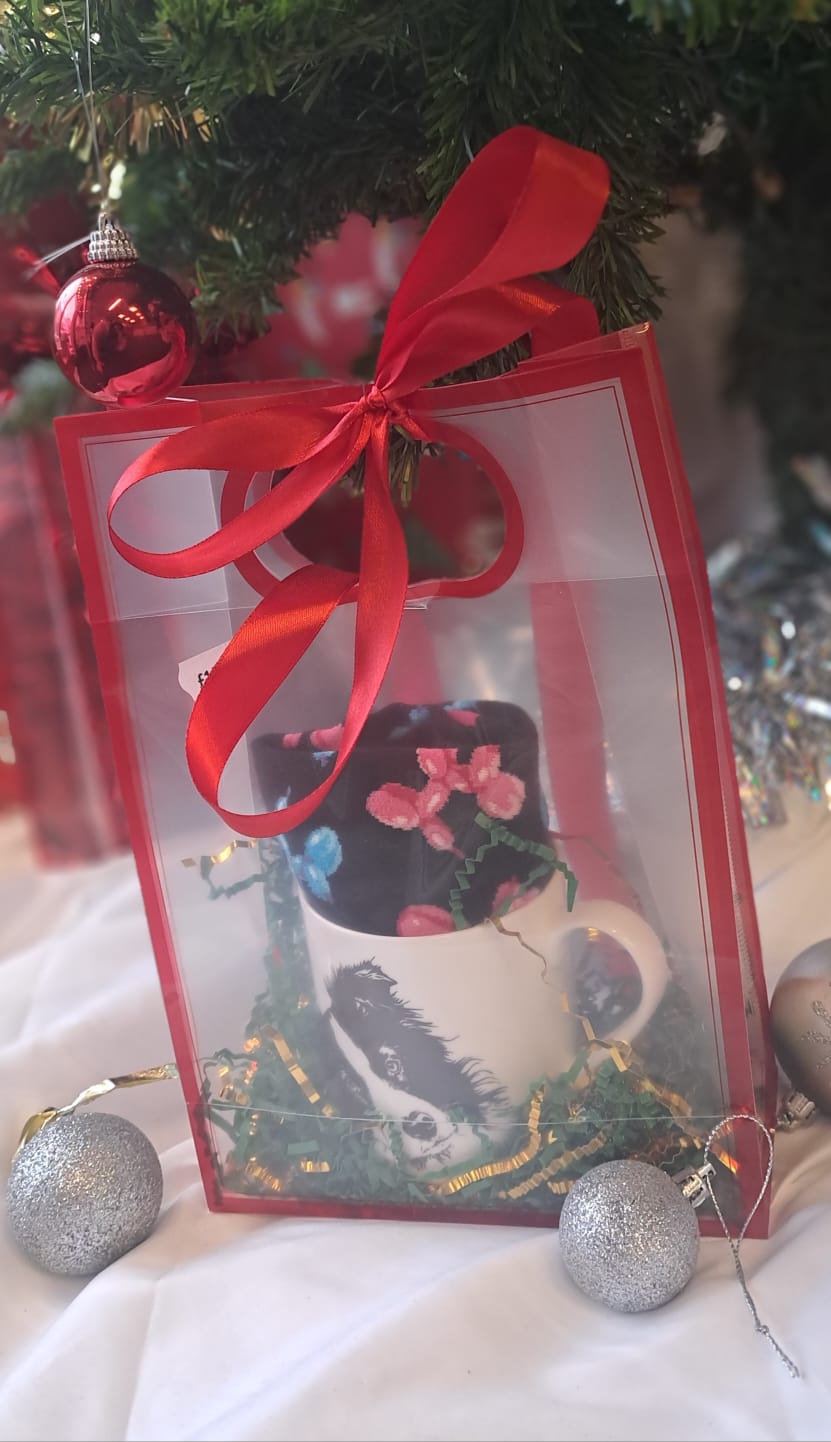 Christmas Border Collie Set